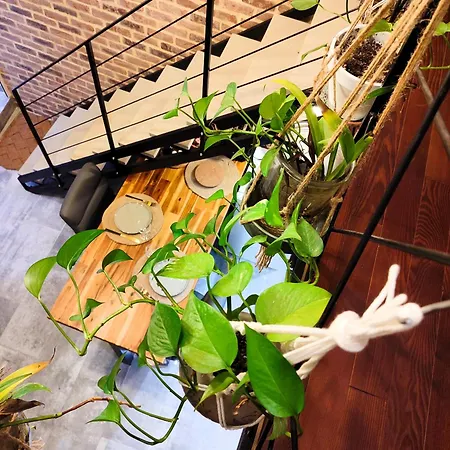 Le Travertin Apartment