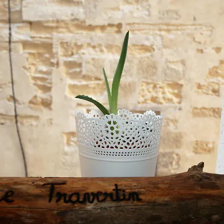Le Travertin Apartment Avignon